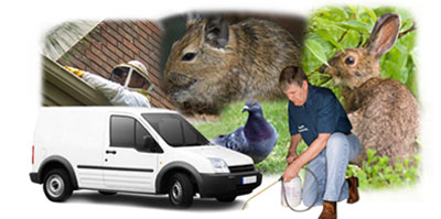Penistone local van